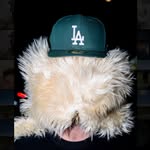 ethan ray shevin - @ethanrays - Instagram