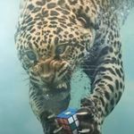 Ethan Andrew Lyn Rayburn - @ethan_9974 - Instagram