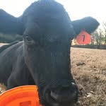 Ethan Reece - @ensley_reece2006 - Instagram