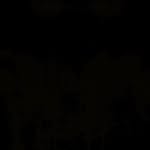 Ethan_Reece_Fielding - @ethan_reece_fielding - Instagram