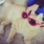 Ethan Reedy - @e_reedy16 - Instagram