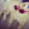 Ethan.Reedy - @frog.milk - TikTok