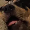 Ethan - @ethan.renfroe - TikTok