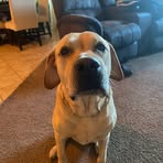 Ethan Richey - Facebook