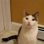 Ethan Riggs - @ethanriggs12 - Instagram