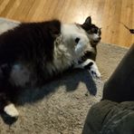 Ethan Riggs - Facebook