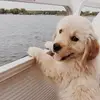 er😎 - @ethan.rockk - TikTok