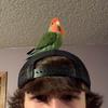 Ethan Roland - @roland_ethan - TikTok