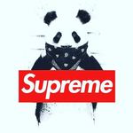 Ethan Rubio - @ethanttvbtw - Instagram