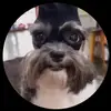 Ethan Rubio - @ethangarfias2 - TikTok