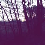 Ethan Rudd - @ethanrudd173 - Instagram