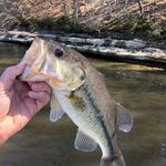 Ethan rudd - @ethan_r_fishing - Instagram