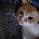 Ethan Rudderham - @ethan_rudderham - Instagram