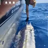 Ethan Sands - @ethan.sands8 - TikTok
