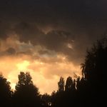 Ethan Sapp - @je_suis_riz - Instagram