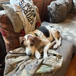 Ethan Sapp - @snubbersbbq - Instagram