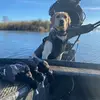 Ethan Sapp - @ethansapp15 - TikTok