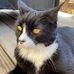 Ethan Sapp Sapp - Facebook