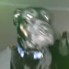 ethan.sapp - @ethan.sapp42 - TikTok