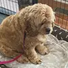 e.thann_saylor - @e.thann_saylor - TikTok