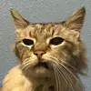 Ethan - @ethanschaumbergg - TikTok