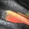 Yt-Crazynova - @ethanschaudi74 - TikTok