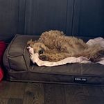 @ethan.schell_spam - Instagram