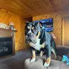 Ethan Schell - @ethanschell - TikTok