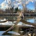 Ethan Schell - Facebook