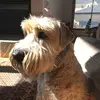 Ethan Schnur - @ethan.schnur - TikTok