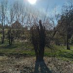 Ethan Schoon - @schoon.ethan - Instagram
