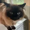 Ethan Schulte - @ethan.schulte8 - TikTok