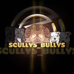 Ethan Scully - @scullys_bullys - Instagram