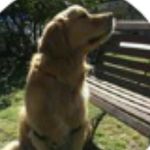 ethan secord - @ethansecord - Instagram