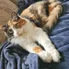 Ethan_Secrist - @ethan_richard_secrist - TikTok