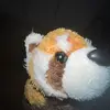Ethan See - @certifieder - TikTok