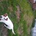 Ethan Seifert - Facebook