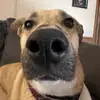 Ethan Serna - @ethanserna0 - TikTok