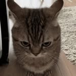 Ethan Serna - @klot_ho - Instagram