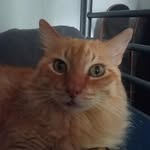 ethan ojeda seulijn - @ethanseulijn - Instagram