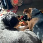 ethan_seurai - @ethan_seurai - Instagram