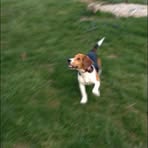 Ethan Severance - Facebook