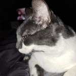 Ethan Severin - @ethan.severin2 - Instagram