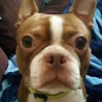 Ethan Shaffer - @22shafe - Instagram