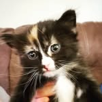 ethan hanks - @ethanshanks09 - Instagram