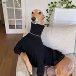 Ethan Sharp - @ethansharp_ - Instagram