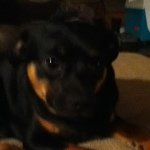 Ethan Shearon - @ethan_shearon_63 - Instagram