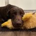 Ethan Shears - Facebook