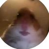 FOLLOWINGEVERYONEINTHEWORLD - @ethan...shears - TikTok