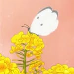Ethan Shek - @e.s_bluebird - Instagram